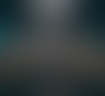 우영아이엔씨의 강점